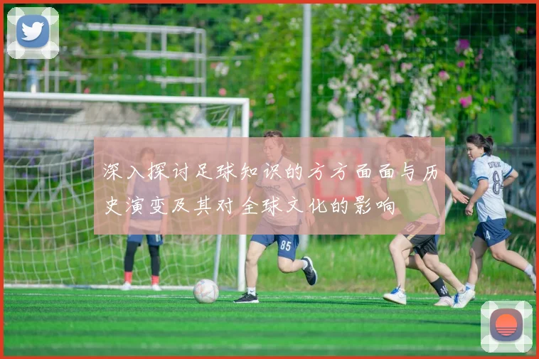 深入探讨足球知识的方方面面与历史演变及其对全球文化的影响