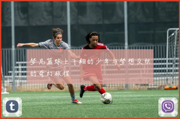 梦见篮球上飞翔的少年与梦想交织的奇幻旅程