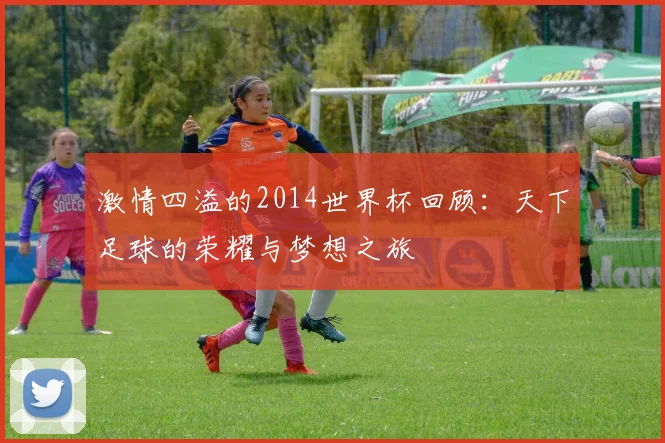 激情四溢的2014世界杯回顾：天下足球的荣耀与梦想之旅