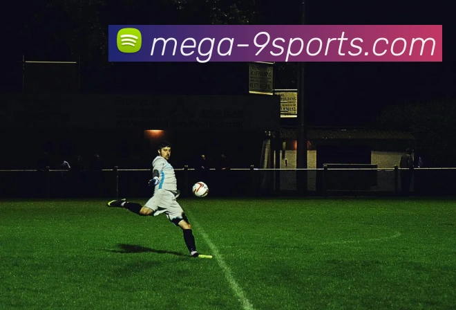 九游体育平台生态图